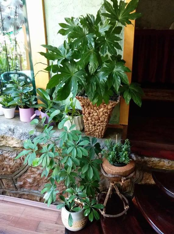 Hotel Belvedere Szarajevó Kültér fotó